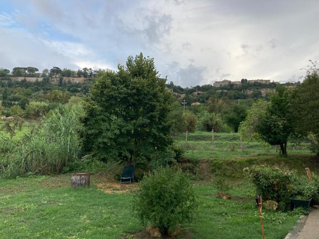 Casale Riorso Hotel Orvieto Kültér fotó